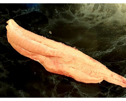 Fresh Hake Fillets