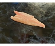 Fresh Seabass Fillets