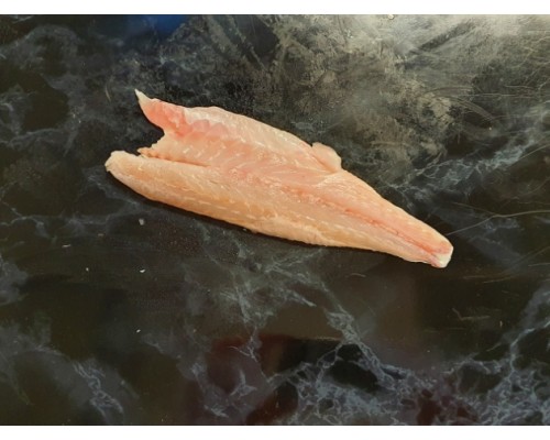 Fresh Seabass Fillets